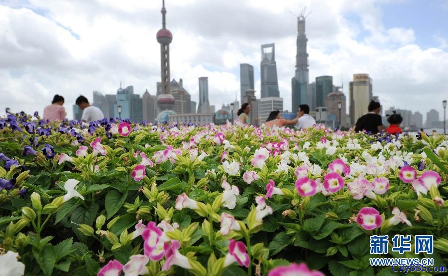 上海街头美景